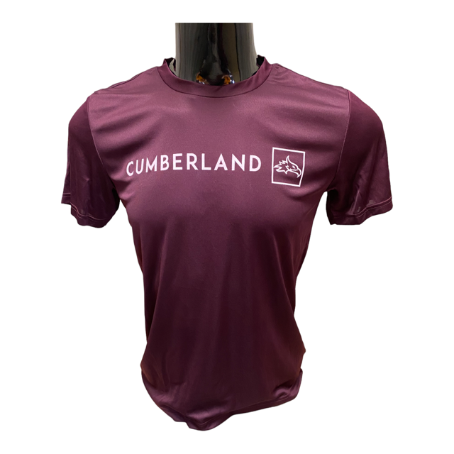 Cumberland Adidas Performance Box Design Tee